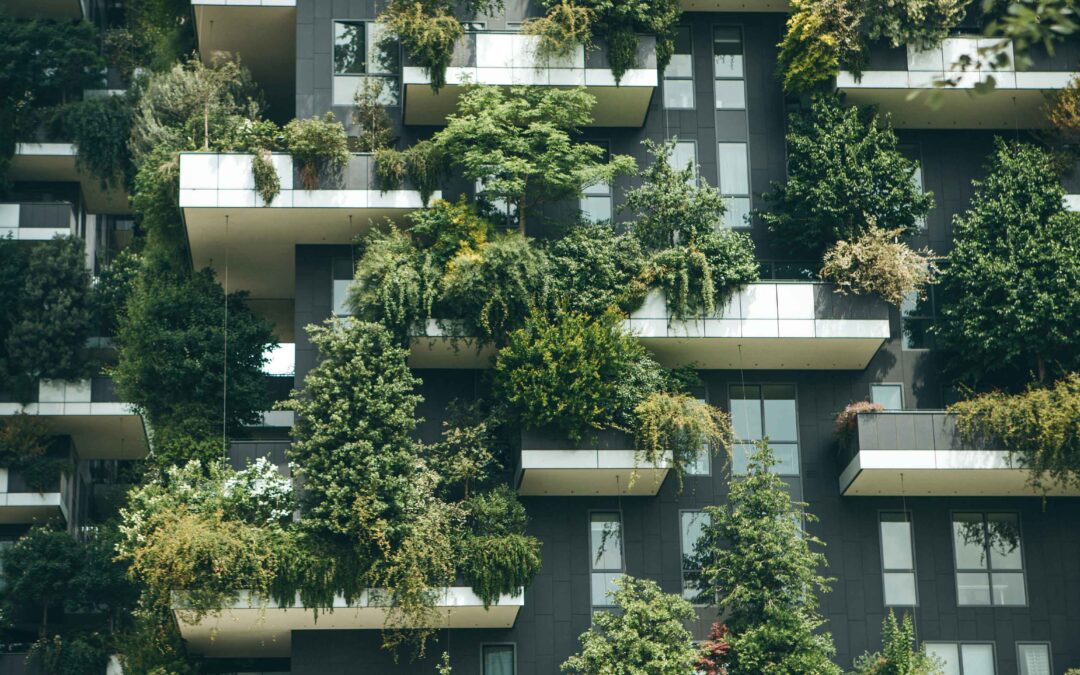 The Rise of the Sustainable Hotel