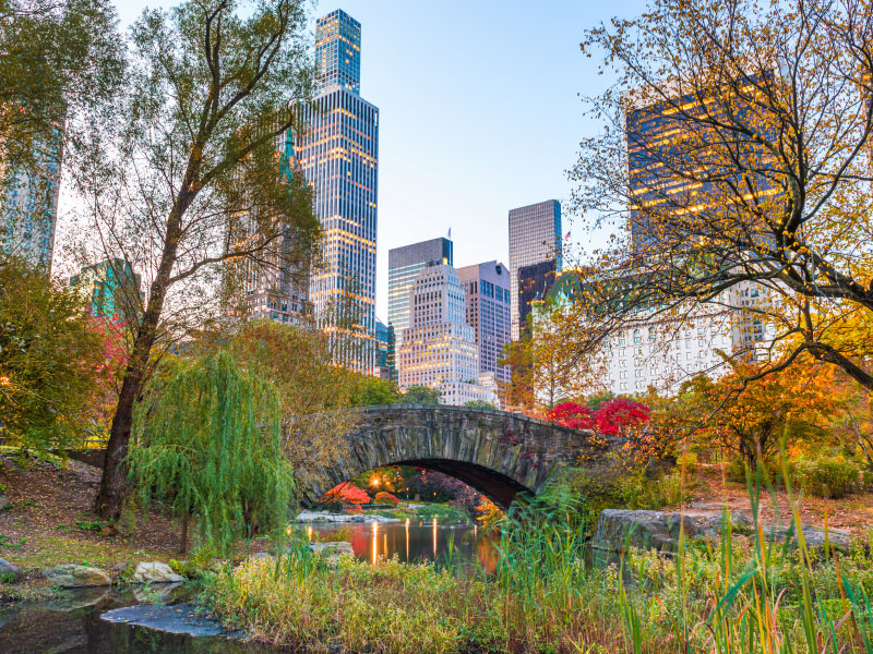 A view of central park in autumn in New york<br />
